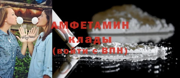 ешки Аркадак