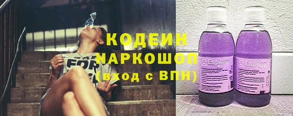 ешки Аркадак