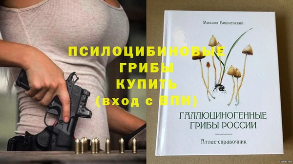 метадон Арсеньев