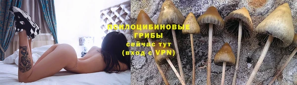 метадон Арсеньев