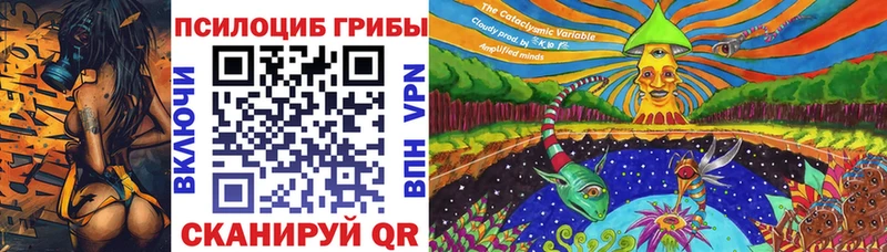 сайты даркнета официальный сайт  цены наркотик  Курган  Галлюциногенные грибы GOLDEN TEACHER 